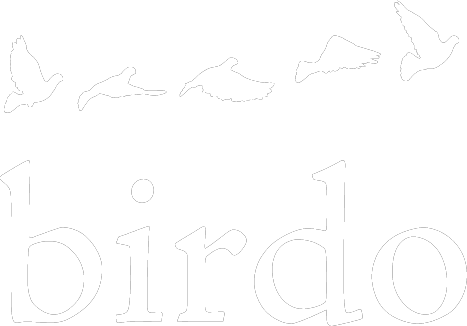 logo-birdo-studio-lp